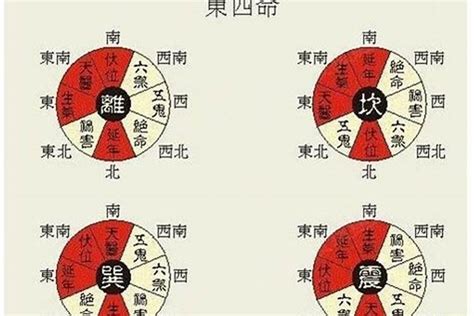 东四命西四命算法|东四命西四命速查表 命卦对照表